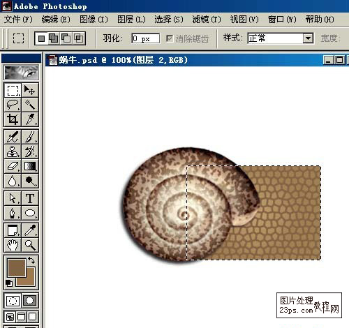 Photoshop鼠绘教程 鼠绘逼真的蜗牛