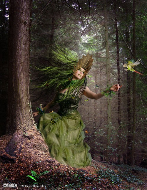 Photoshop合成森林中的绿色精灵