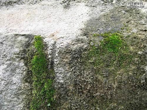 PS制作真实的带苔藓的破损的石头文字
