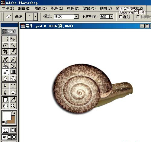 Photoshop鼠绘教程 鼠绘逼真的蜗牛