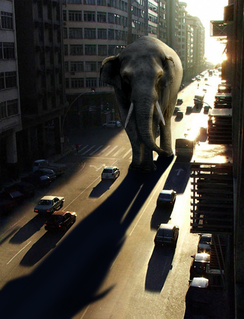 Photoshop合成迷失在闹市的大象